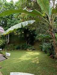 Woodlands Park (D25), Semi-Detached #537189741